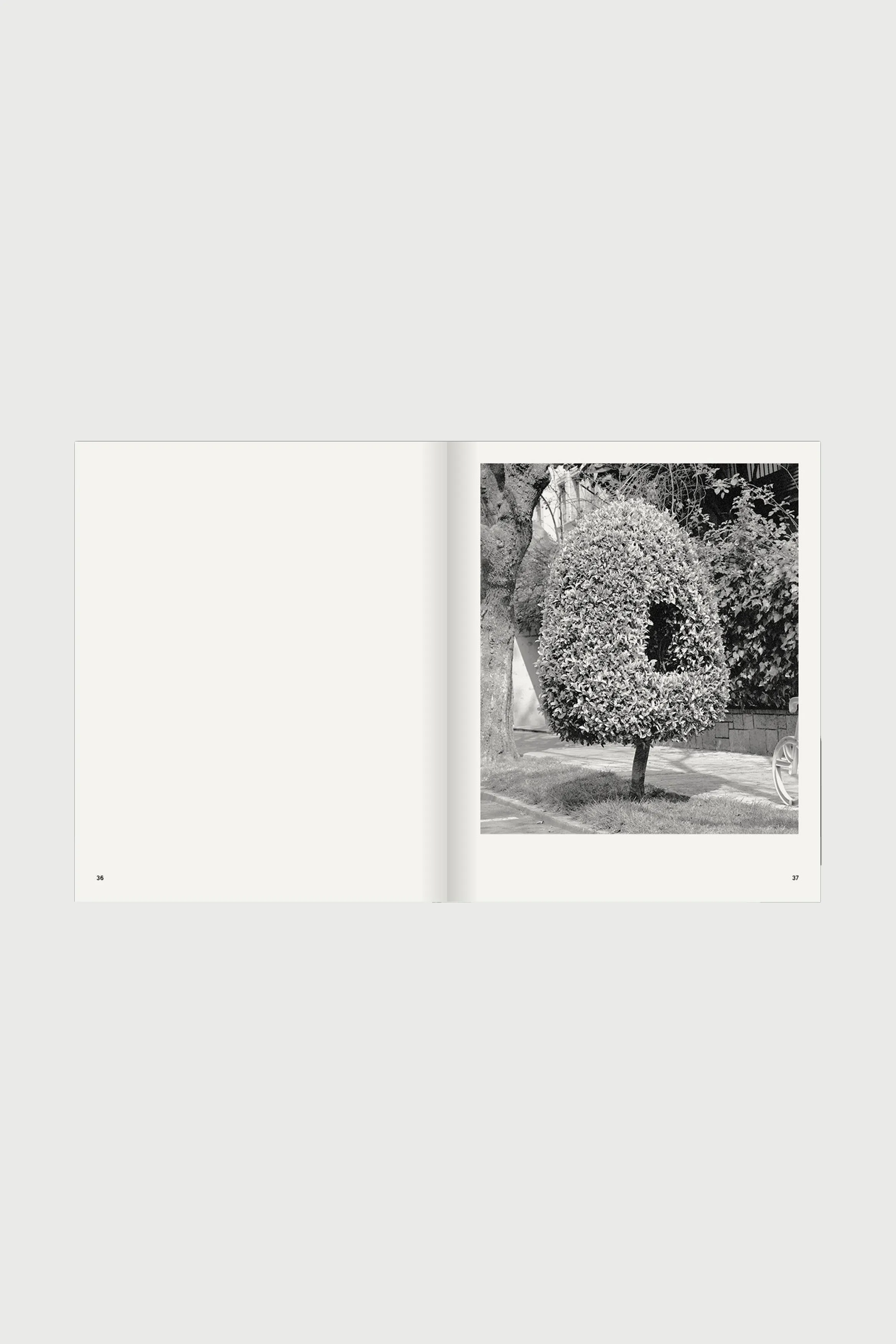 Ruben Montesinos - A Guide on Gardening