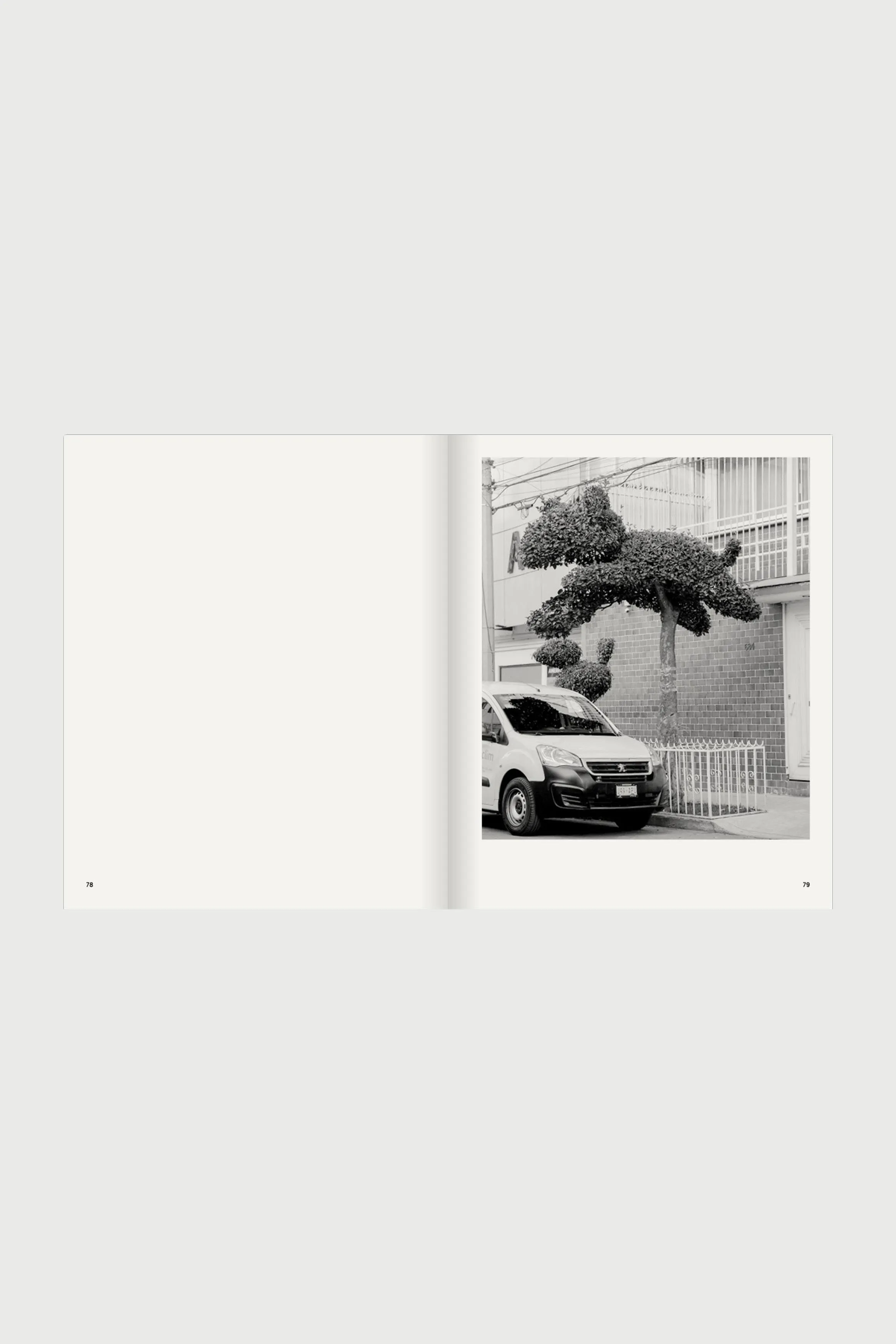 Ruben Montesinos - A Guide on Gardening